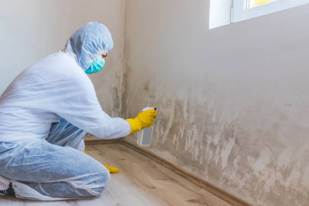 Licensed Mold Cleanup service in Harrisburg, NC - WQB Mold Removal