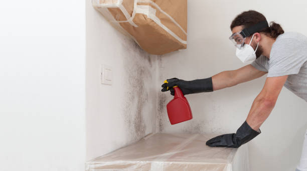 Professional Mold Cleanup technician working in Harrisburg, NC