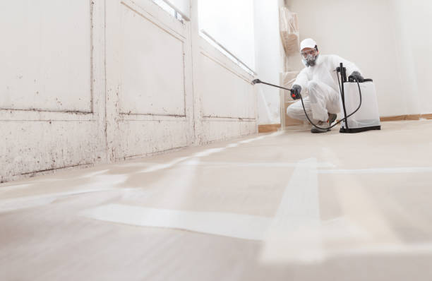 24/7 Emergency Mold Cleanup experts in Harrisburg, NC