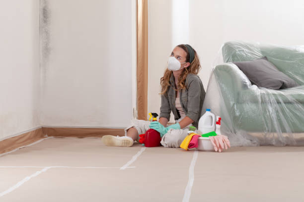 Reliable Mold Cleanup contractor in Harrisburg, NC by WQB Mold Removal