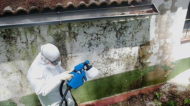 Top rated local Mold Cleanup specialists in Harrisburg, NC